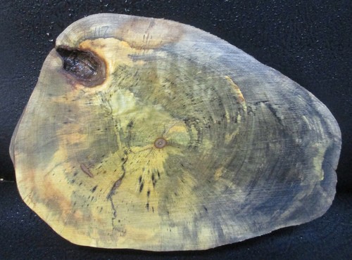 Buckeye wood slab natural edge - wood,