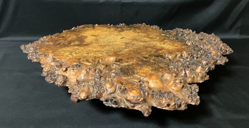 Japanese burl display - japanese,