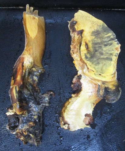 2pc buckeye burl slabs - 2pc,
